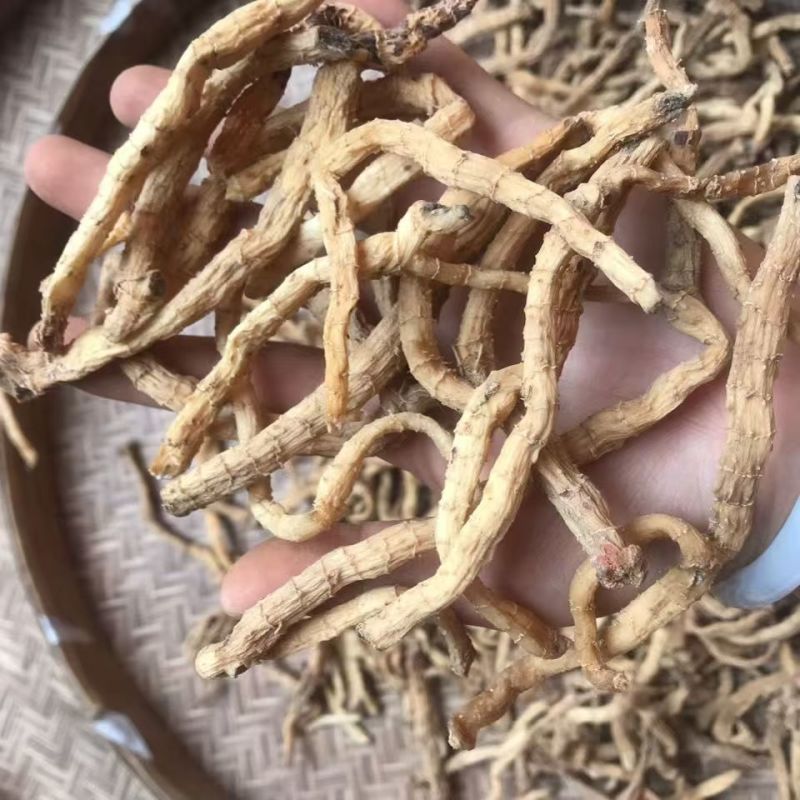 小玉竹云南小玉竹小玉竹云南小玉竹批发