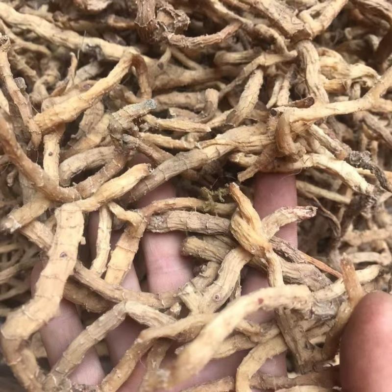 小玉竹云南小玉竹小玉竹云南小玉竹批发