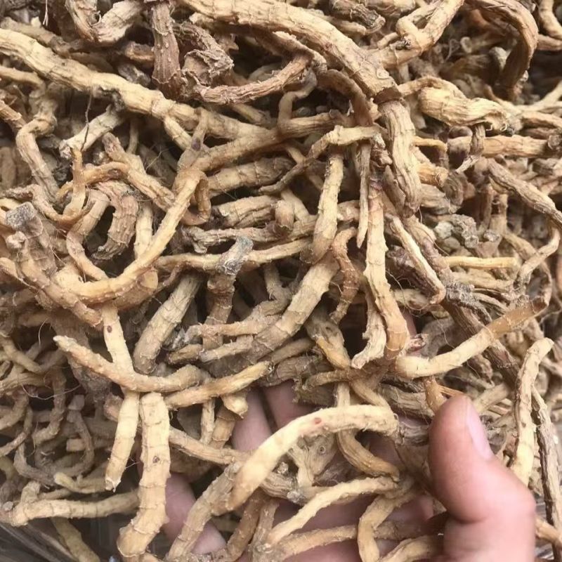 小玉竹云南小玉竹小玉竹云南小玉竹批发