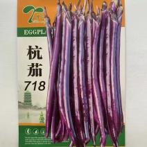 杭茄718线茄种子早熟抗病紫红长线茄种子皮薄节间短