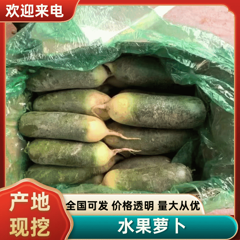 【精品】水果萝卜大量出售！全国发货，商超，电商，加工