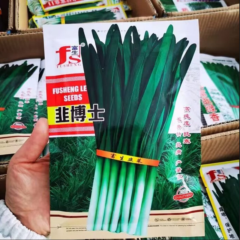 韭博士韭菜种子高纯度抗寒耐热抗病抗干尖不休眠