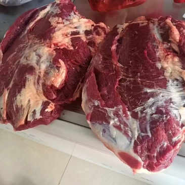 【推荐】内蒙古精品黄牛肉肉瘦膘黄保质保量