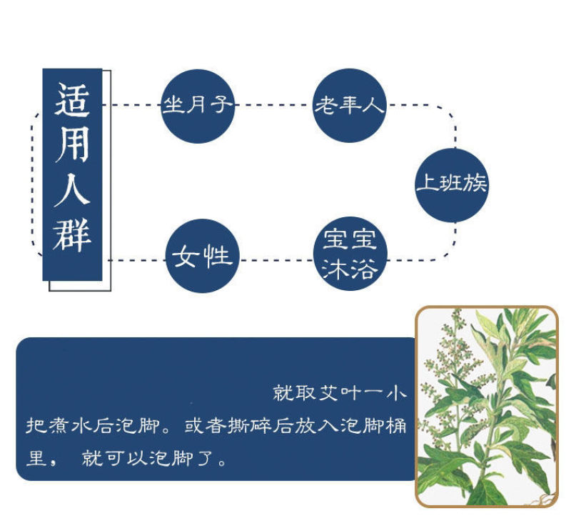 野生艾草叶干艾草艾灸泡脚泡澡艾草中医足浴粉药包批发