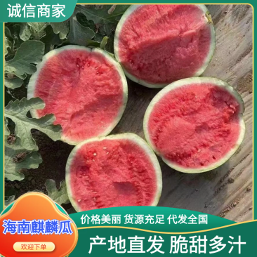 海南西瓜无籽麒麟西瓜产地直发,规格齐全,对接全国电商市场
