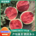 海南西瓜无籽麒麟西瓜产地直发,规格齐全,对接全国电商市场