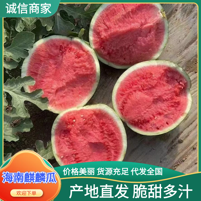 海南西瓜无籽麒麟西瓜产地直发，规格齐全，对接全国电商市场