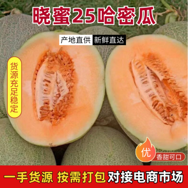 晓蜜25哈密瓜（民勤哈密瓜）产地一手货源，对接全国客商
