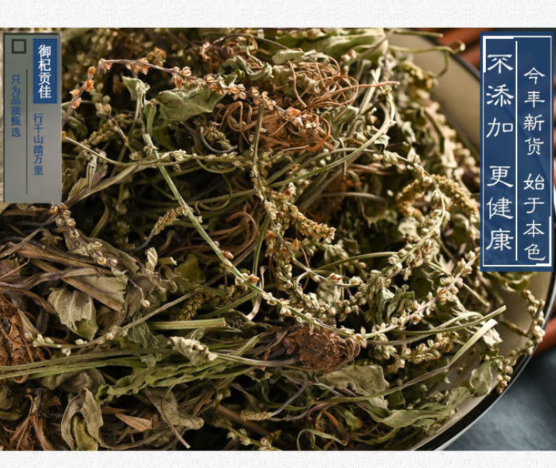 正宗车前草泡茶中草药批发野生全草整颗晒干切断包邮可打粉