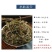 正宗车前草泡茶中草药批发野生全草整颗晒干切断包邮可打粉