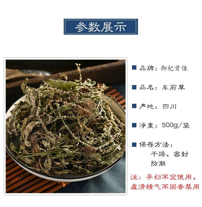 正宗车前草泡茶中草药批发野生全草整颗晒干切断包邮可打粉
