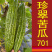 珍翠苦瓜701-苦瓜种子早中熟杂交种