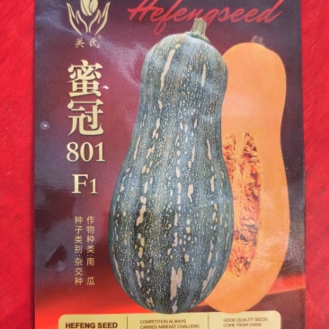 密冠801-南瓜种子杂交种高产抗病肉厚味甜质优
