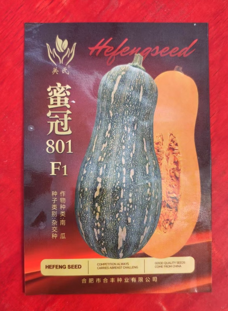 密冠801-南瓜种子杂交种高产抗病肉厚味甜质优