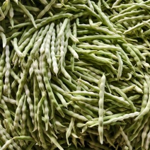 【热卖中】山东芸豆大量有货品质保证可视频看货