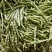 【诚信卖家】芸豆山东日照大量有货产地直发欢迎选购
