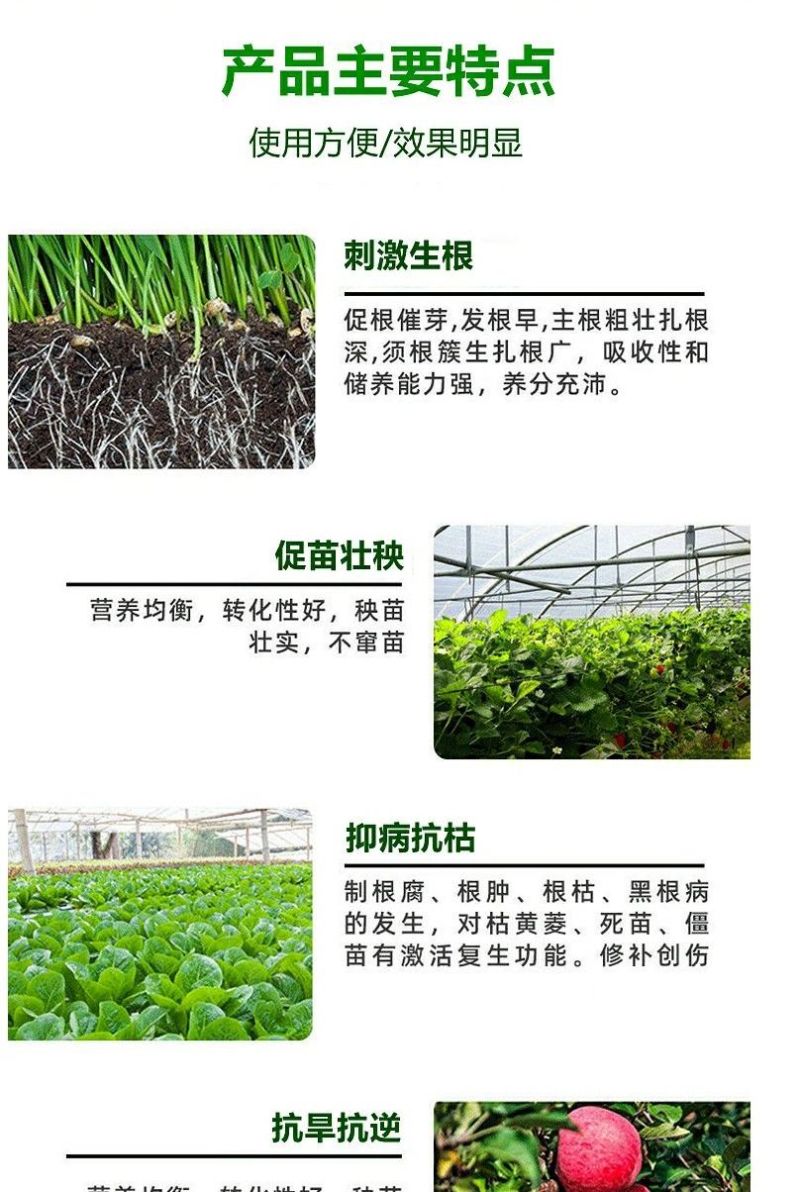 生根剂壮苗水溶肥促生根壮苗剂蔬菜花卉植物通用强力生根剂