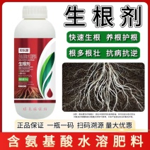 生根剂壮苗水溶肥促生根壮苗剂蔬菜花卉植物通用强力生根剂