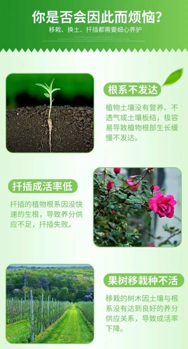 生根剂生根壮苗抗重茬死苗烂根养根护根调节土壤扦插移栽育苗