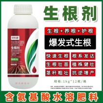 生根剂生根壮苗抗重茬死苗烂根养根护根调节土壤扦插移栽育苗