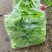 白菜苔毛白菜苔新鲜发货大量上市物美价廉欢迎合作