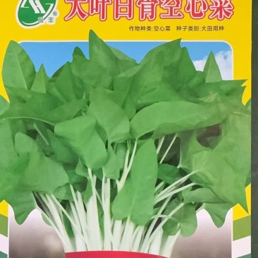 大叶白骨空心菜-空心菜种子生长快产量高耐湿耐热