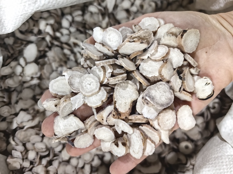 白芍批白芍一手货源可供实体店批发零售规格齐全量大价