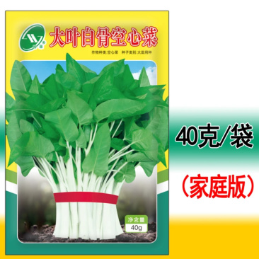 大叶白骨空心菜-空心菜种子耐热耐湿产量高生长快