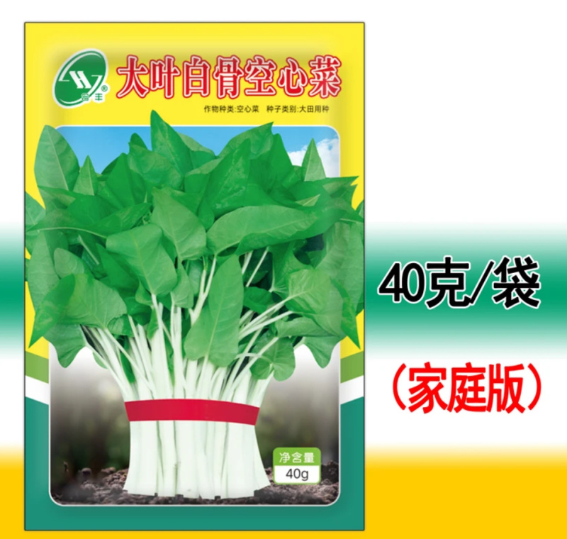 大叶白骨空心菜-空心菜种子耐热耐湿产量高生长快