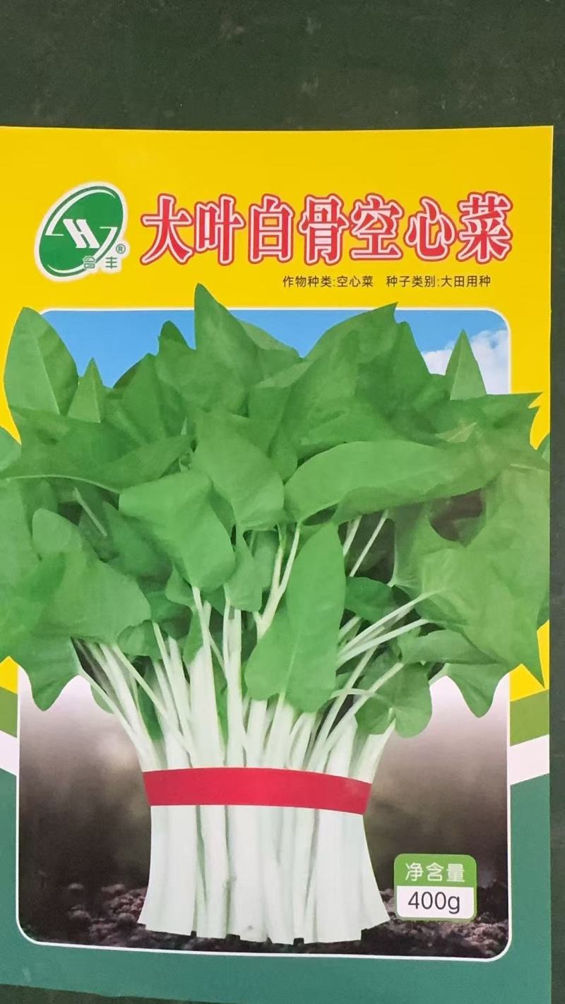 大叶白骨空心菜-空心菜种子耐热耐湿产量高生长快