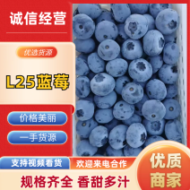 蓟州蓝莓蓟州富盈蓝莓园对接电商超市市场京东冷链包邮