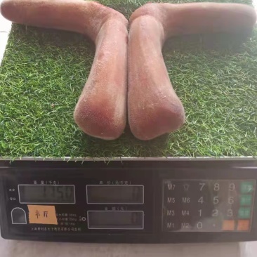 东北长白山鹿茸片连刀切整支鹿茸梅花鹿马鹿腊片粉片血片骨片