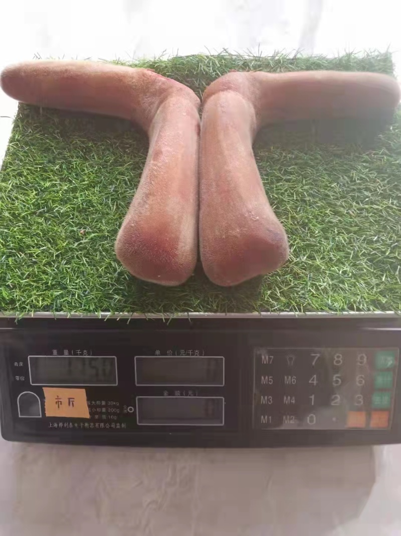 东北长白山鹿茸片连刀切整支鹿茸梅花鹿马鹿腊片粉片血片骨片