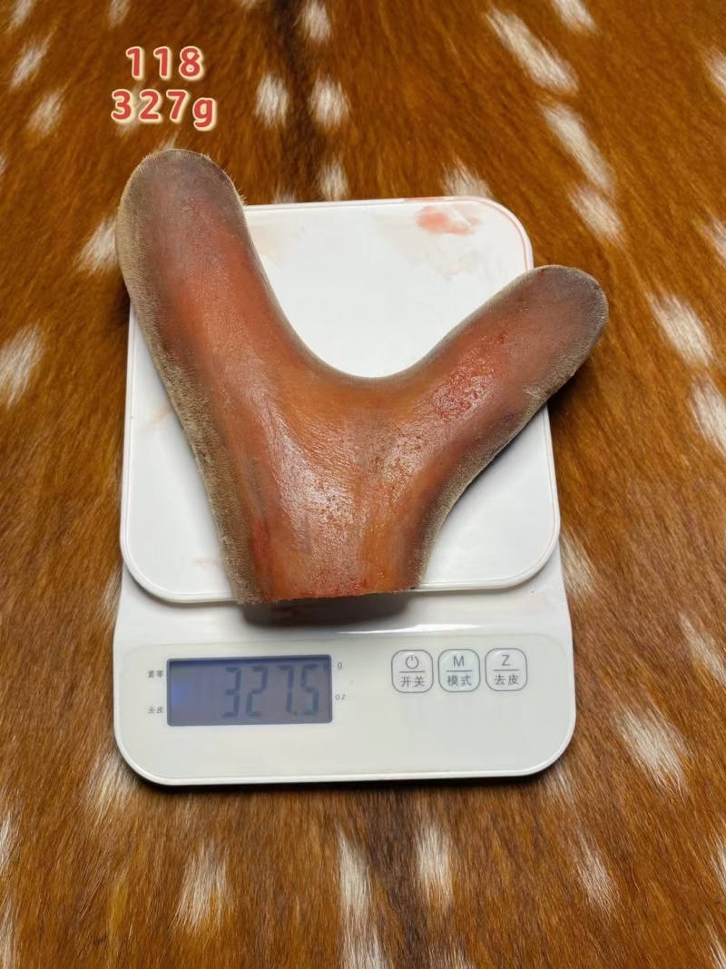 东北长白山鹿茸片连刀切整支鹿茸梅花鹿马鹿腊片粉片血片骨片
