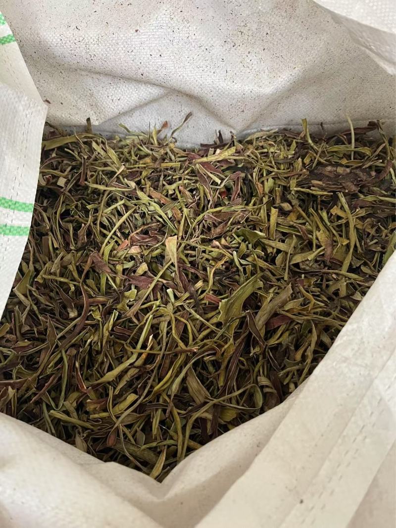 【推荐】芦荟茶芦荟干叶，一手货源产地直发品质保障欢迎