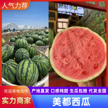 美都西瓜云南西瓜货优量大产地直供,包熟包甜全国发货