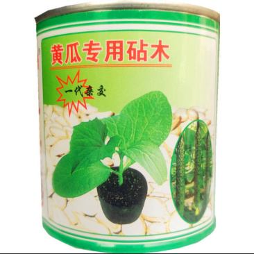 凤凰三号黄瓜砧木种子去蜡粉黄瓜专用嫁接南瓜砧木种子