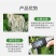 氨基酸水溶肥料绿叶先锋一喷绿叶面肥快速变绿黄叶小叶花叶卷