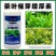 茶叶专用叶面肥催芽壮芽素叶片肥厚茶叶专用含氨基酸水溶肥料