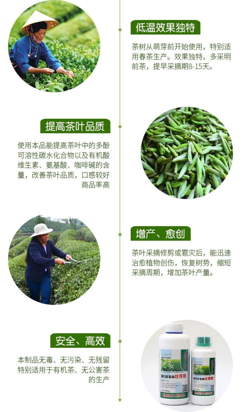 茶叶专用叶面肥催芽壮芽素叶片肥厚茶叶专用含氨基酸水溶肥料