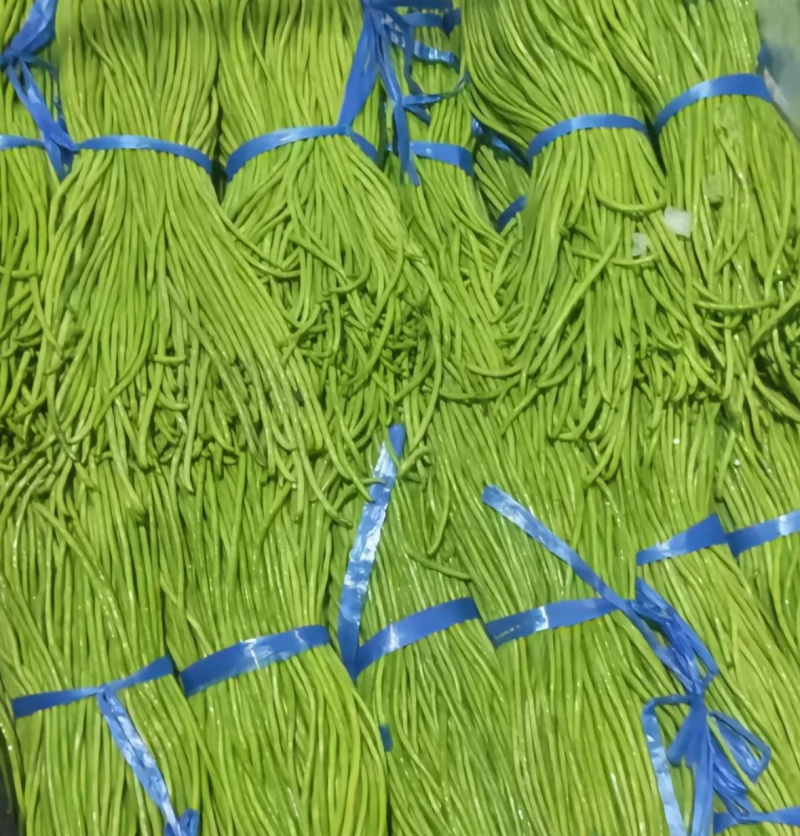 华豇3002-豇豆种子结荚早不早衰抗病性强产量高