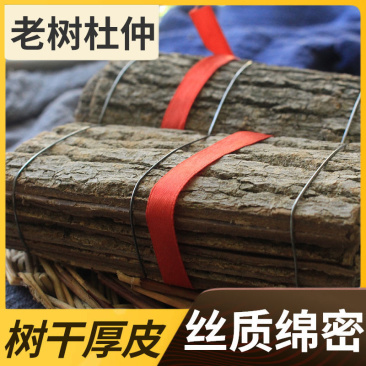 野生中药材批发杜仲正品无熏杜仲茶薄皮正宗厚皮泡酒老树煲汤
