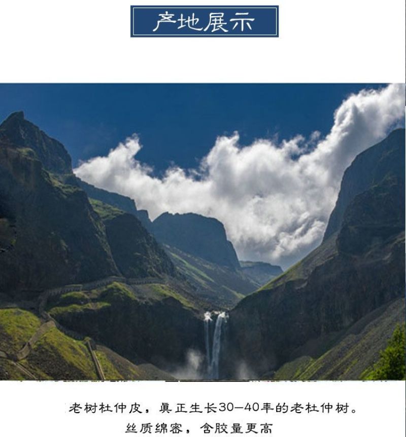 野生中药材批发杜仲正品无熏杜仲茶薄皮正宗厚皮泡酒老树煲汤