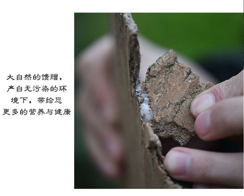 野生中药材批发杜仲正品无熏杜仲茶薄皮正宗厚皮泡酒老树煲汤