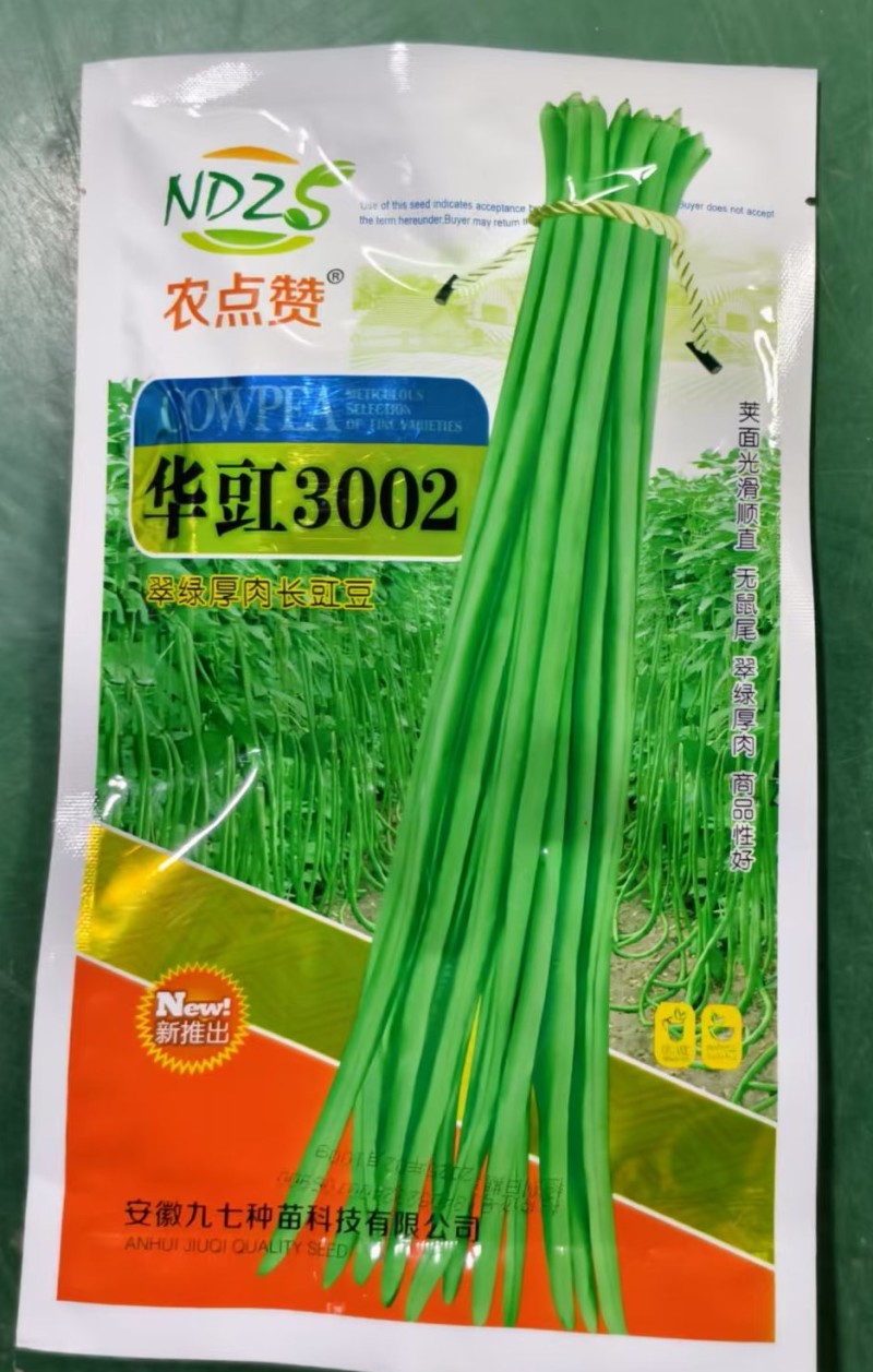 华豇3002-豆角种子结荚早不早衰产量高抗病性强