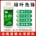 绿叶先锋叶面肥一喷绿氨基酸水溶肥黄叶小叶花叶卷叶抗病增产