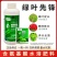 绿叶先锋叶面肥一喷绿氨基酸水溶肥黄叶小叶花叶卷叶抗病增产