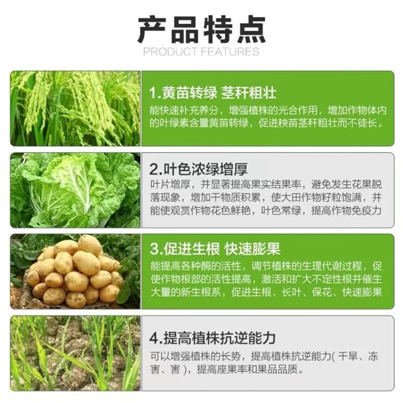 绿叶先锋叶面肥一喷绿氨基酸水溶肥黄叶小叶花叶卷叶抗病增产