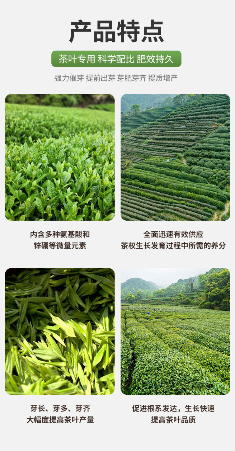 茶叶催芽增厚素茶叶催芽剂专用叶面肥芽嫩芽多氨基酸水溶肥