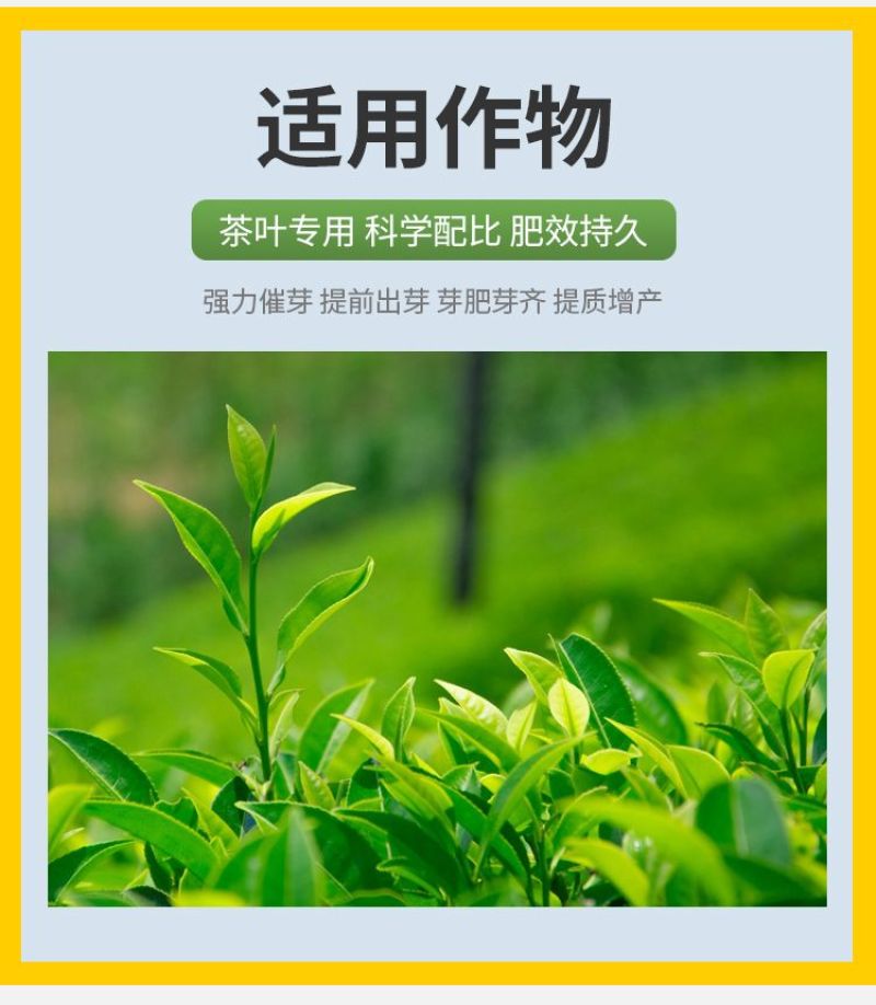 茶叶催芽增厚素茶叶催芽剂专用叶面肥芽嫩芽多氨基酸水溶肥
